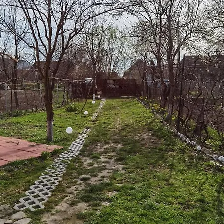 Guest house Sovarlak Sarateni